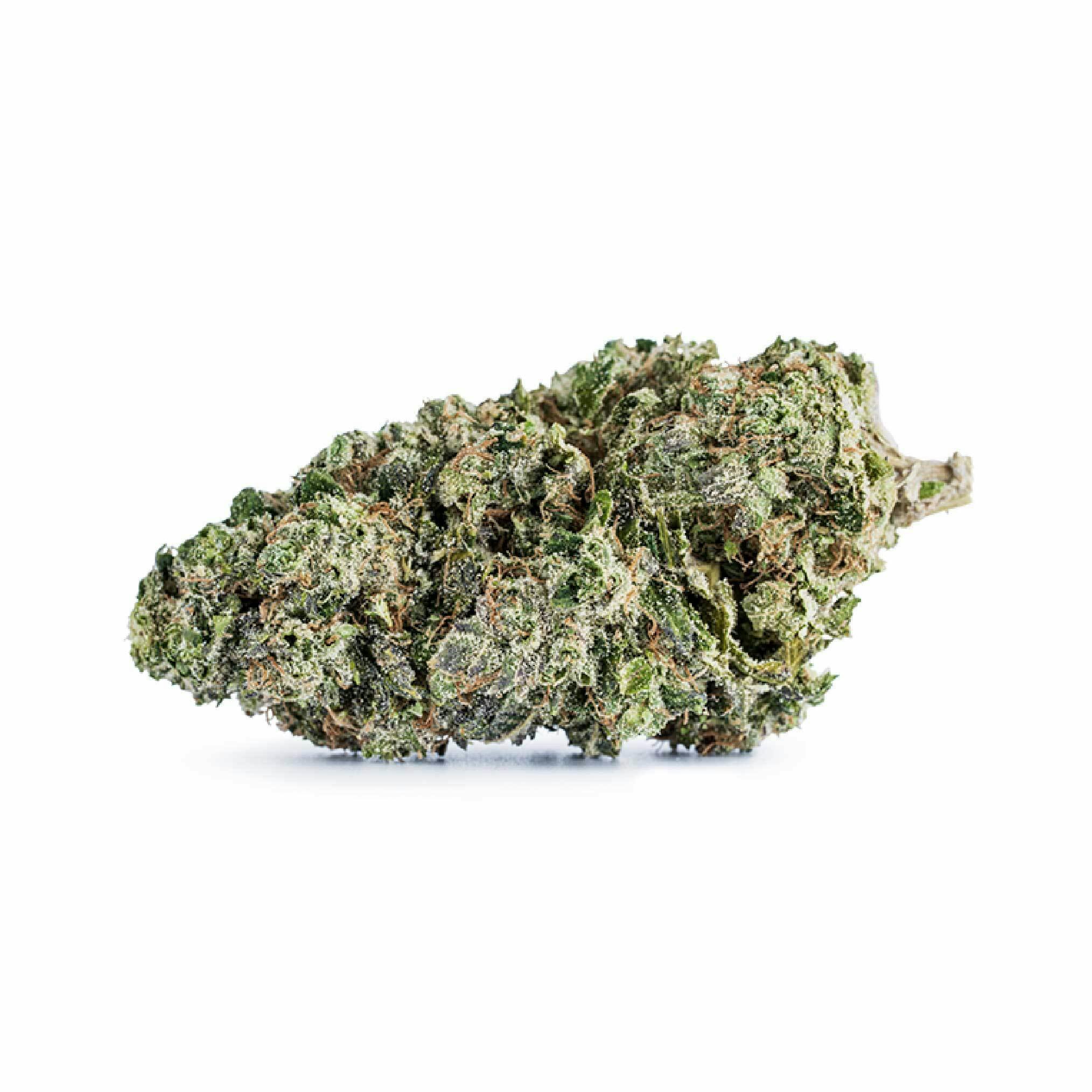 Biscotti PX #2 Flower