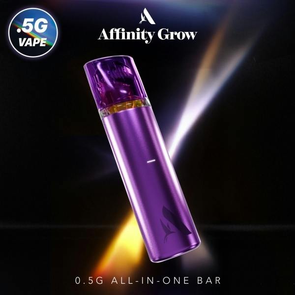 Dutch Treat Disposable - 00989