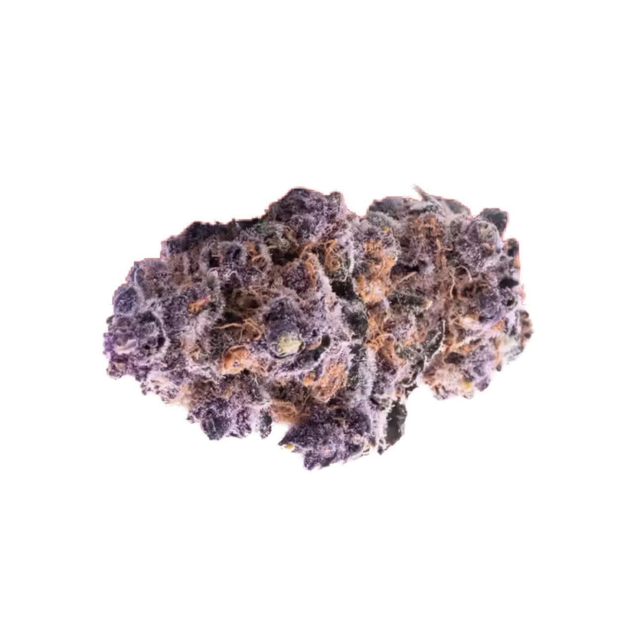 Tropical Burst Flower - 00069