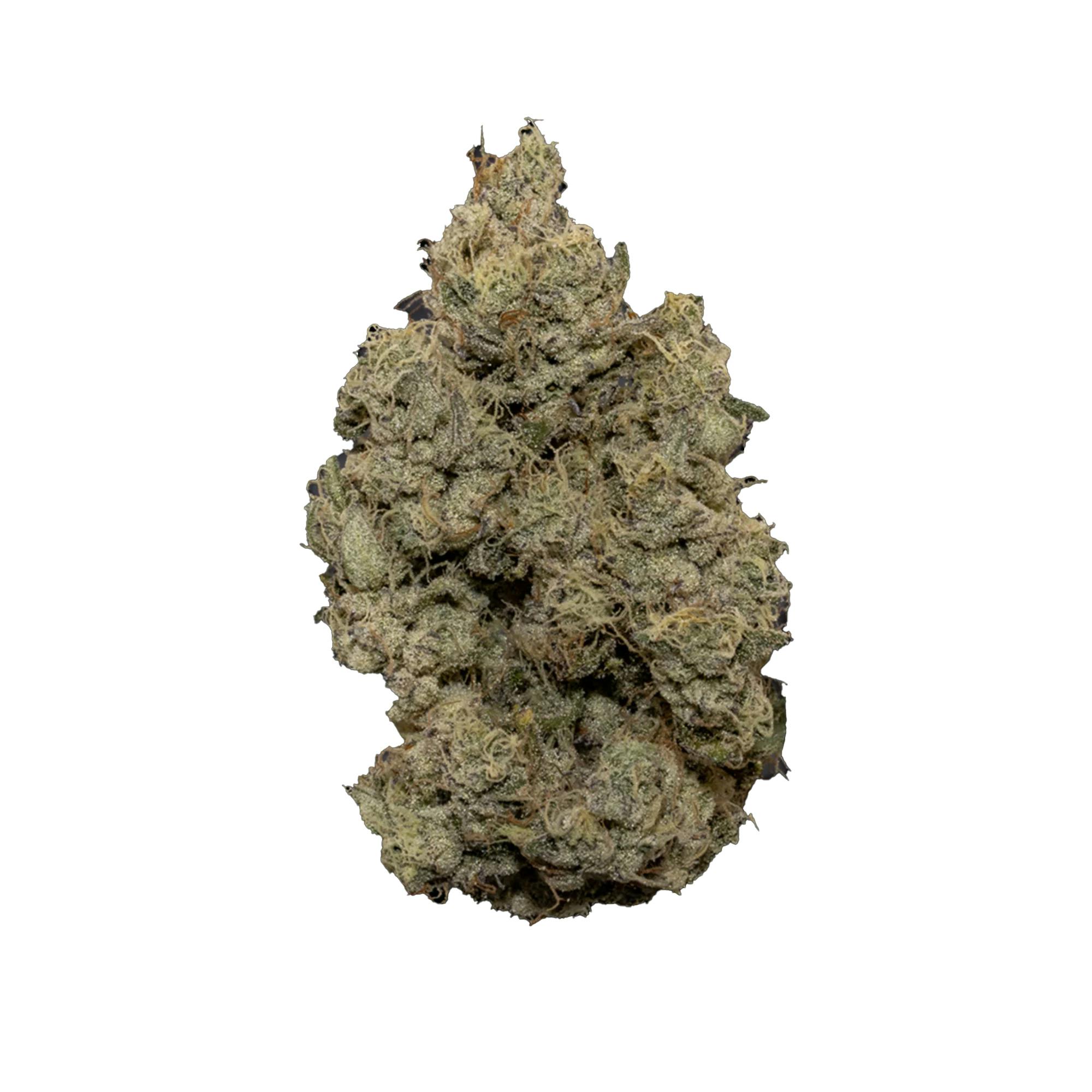 Super Buff Flower - 00608