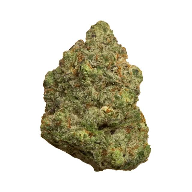 Space Gello Flower - 01369