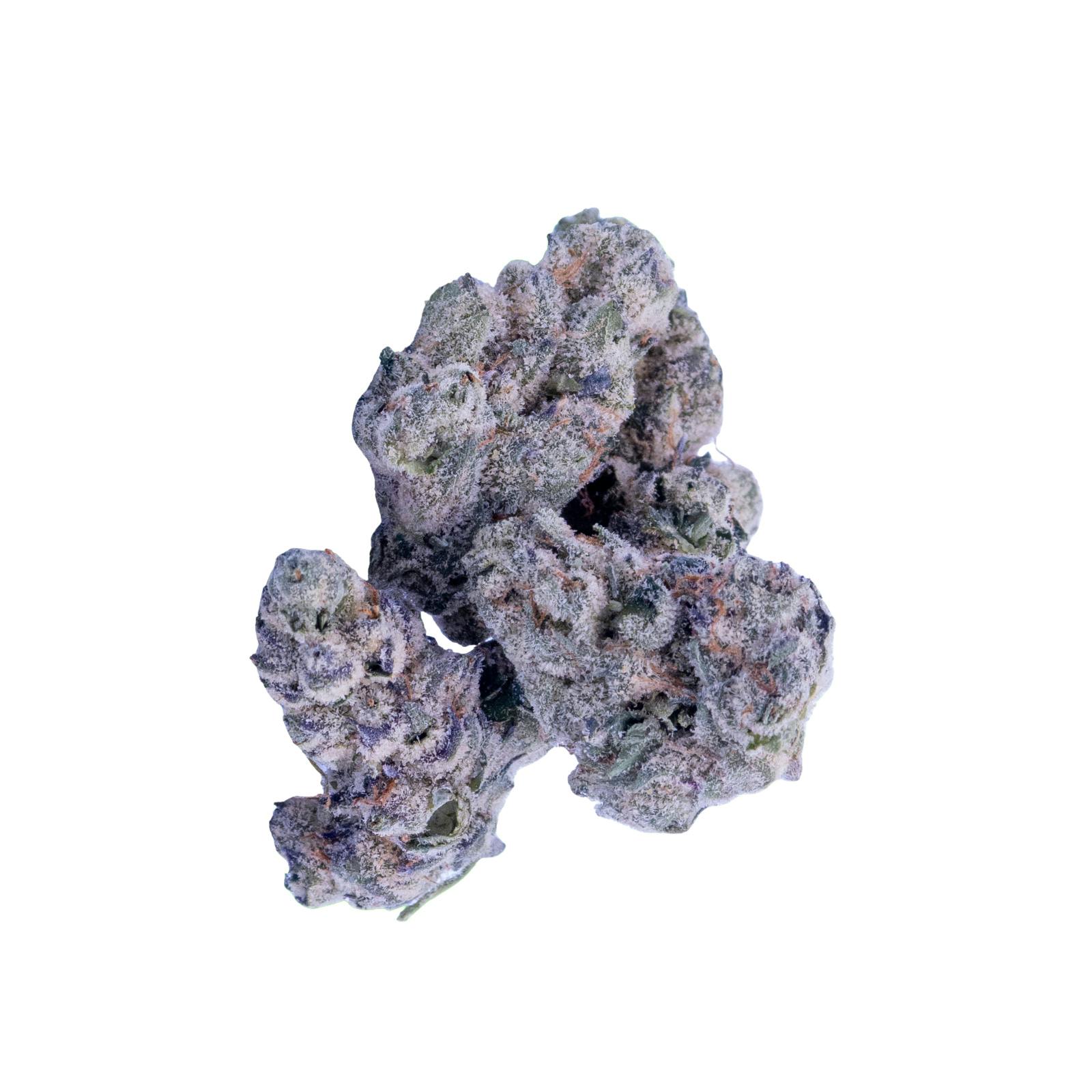 Zeclair Flower - 00106