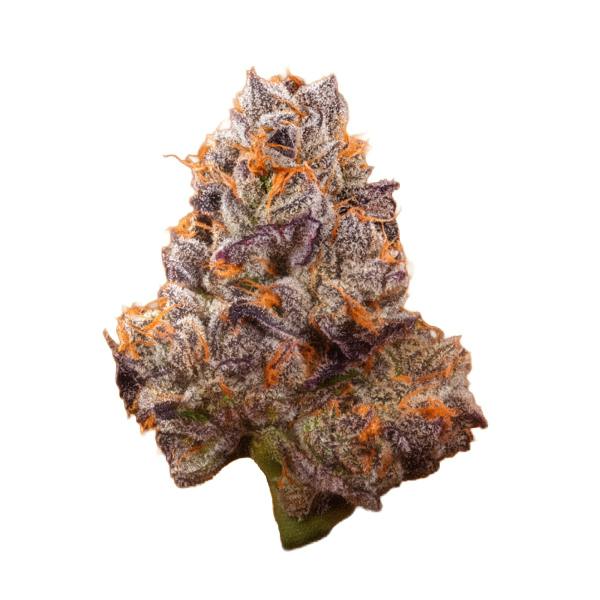 PB Breath Flower - 01029