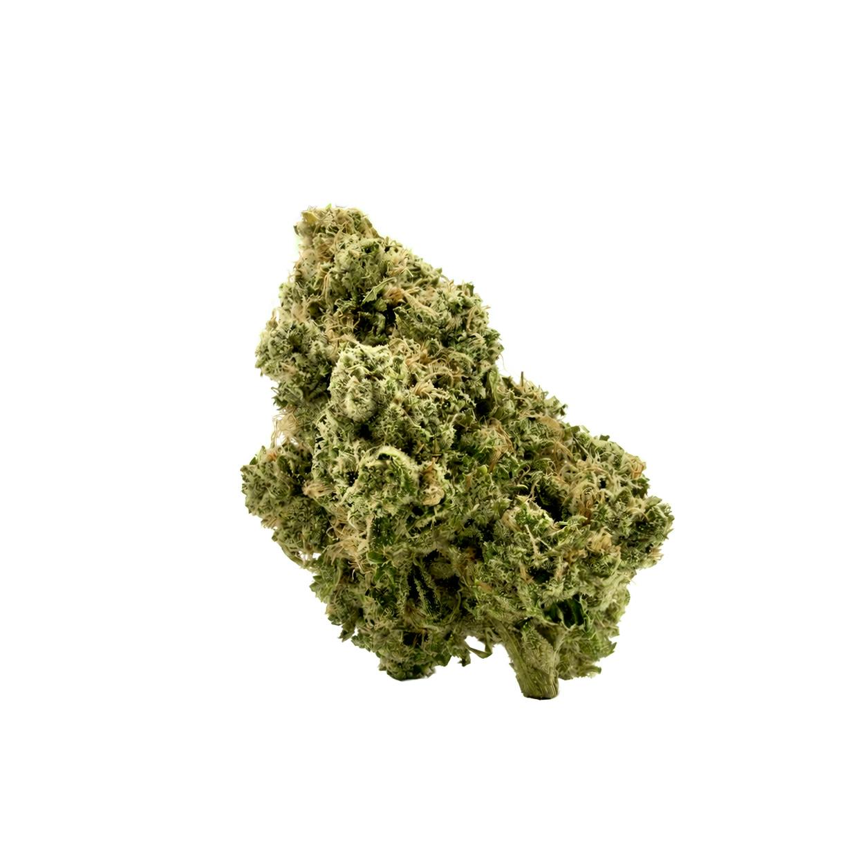 Chem XL Flower - 00137