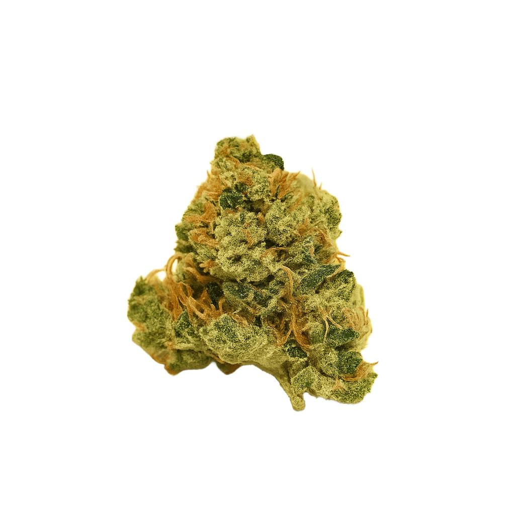 Lemon Merang Flower - 00136