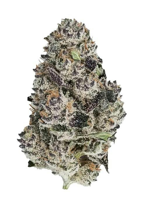 KUTZ | WHITE TRUFFLE CAKE | BULK | SMALLS | INDICA/HYBRID