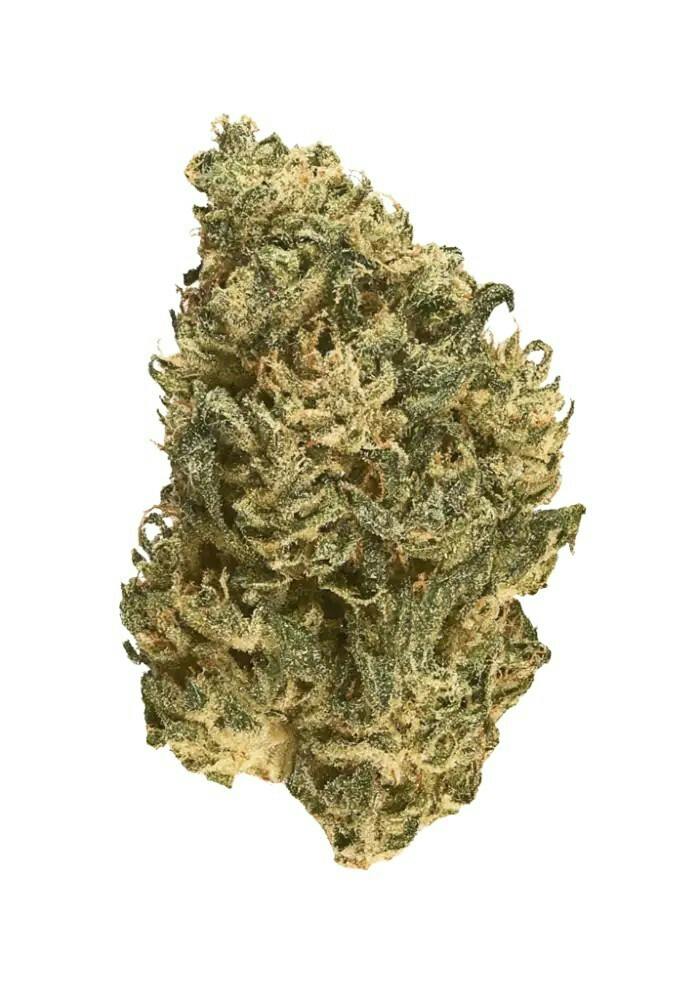 DOJA EXCLUSIVE | CONFETTI | PRE PACK | 3.5G | INDICA / HYBRID