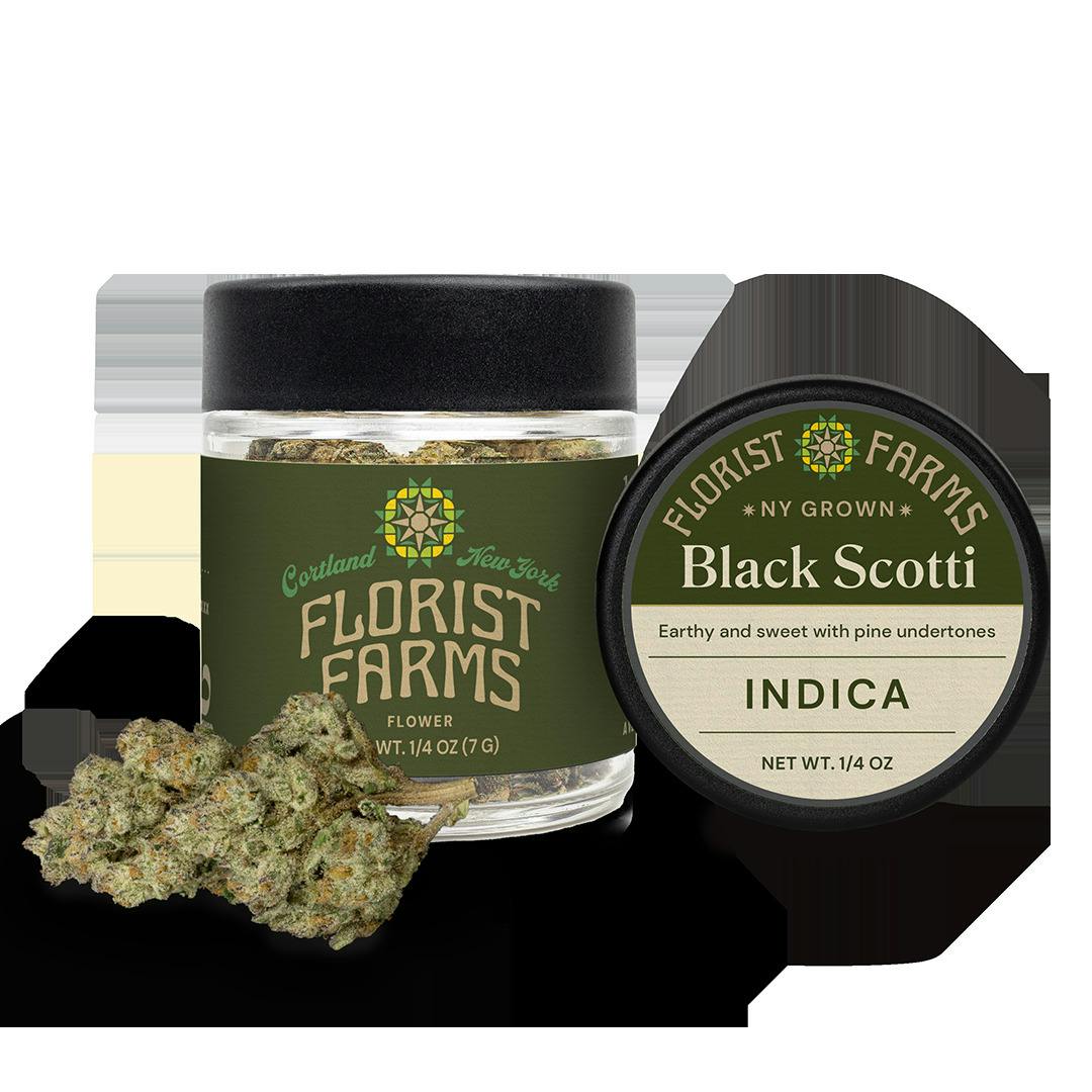 Florist Farms | Banana Cream Cake x Jealousy | Flower