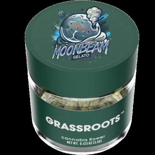 Moonbeam Gelato | Flower