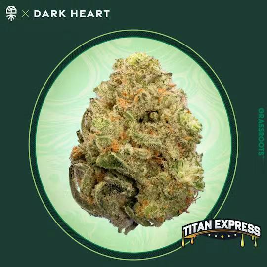 Titan Express | Flower