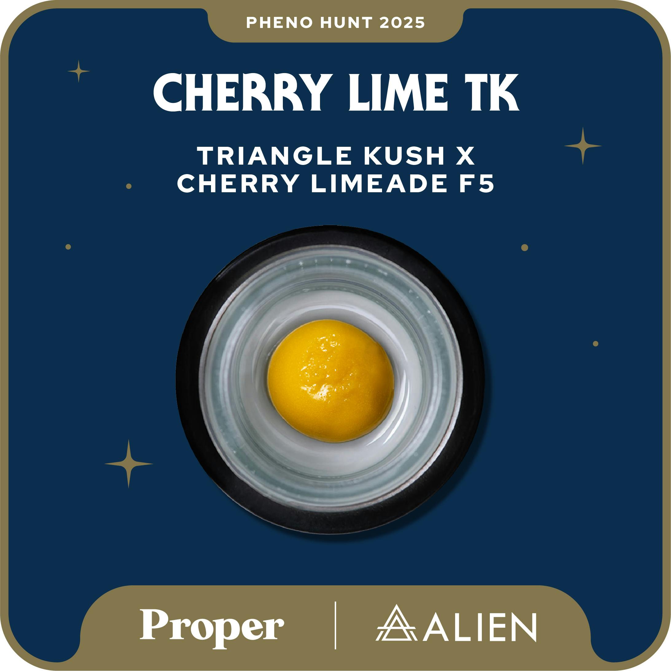 Triangle Kush x Cherry Limeade F5 Badder