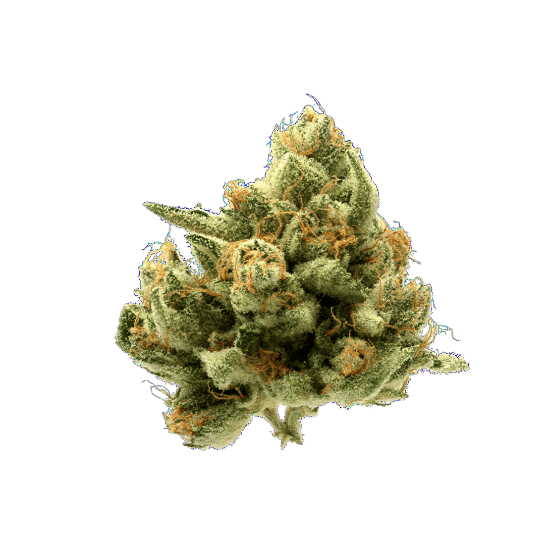 710LABS | C. Chrome