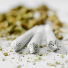 (REC) Alpine - Pre-Roll - 1.2g - Miracle Grow (S/H)