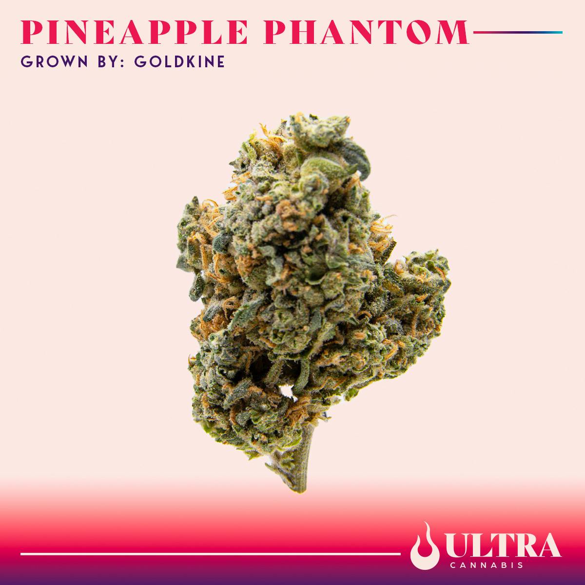 Fresh Canna: Melonade