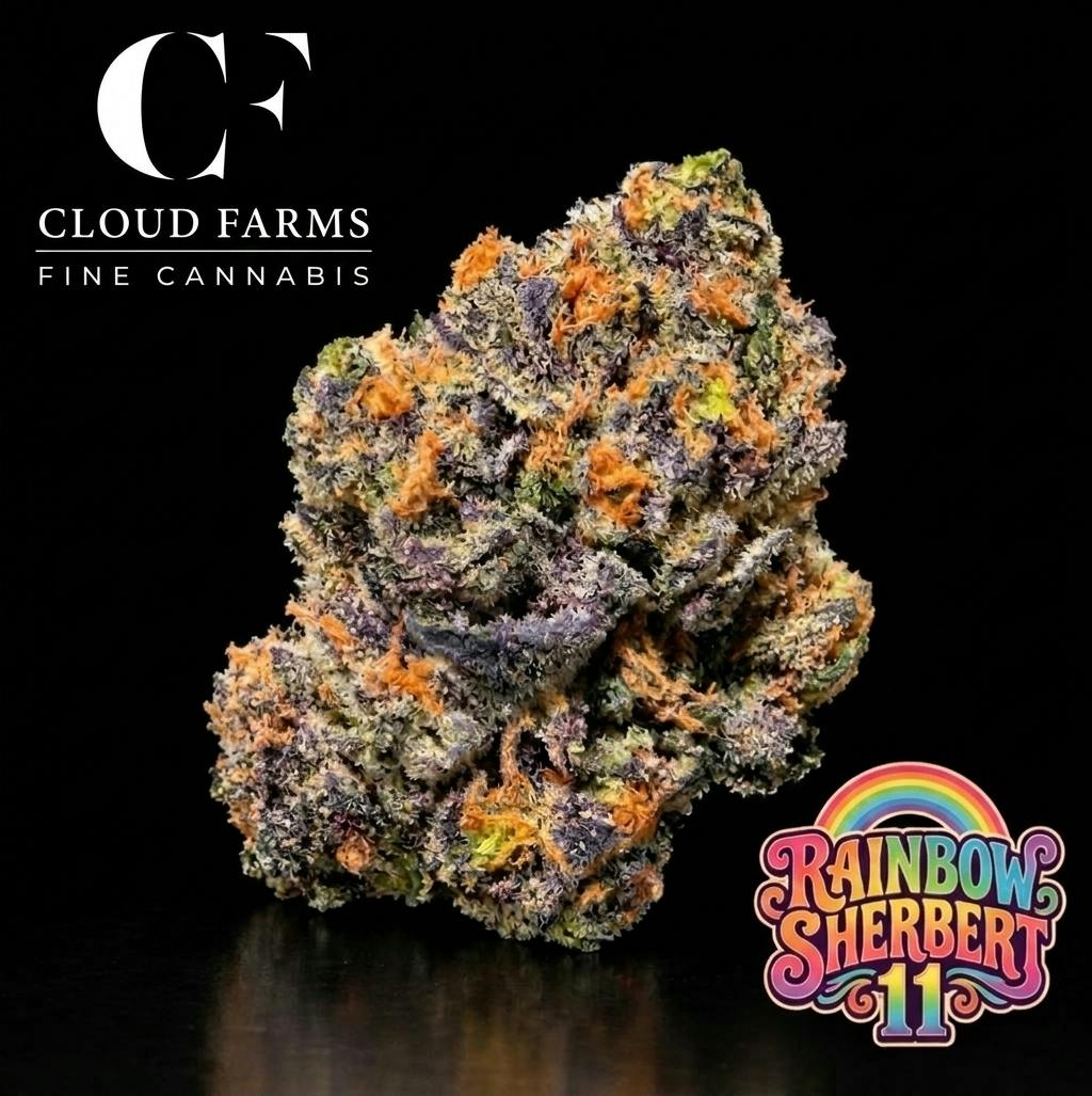 Cloud Farms: RS11 Bulk