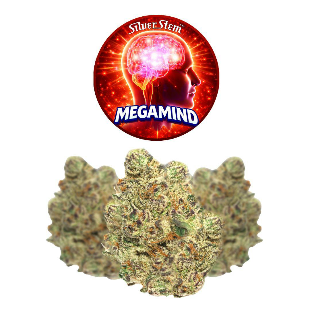 Mega Mind | Sativa-Hybrid