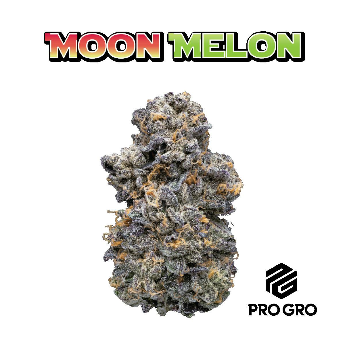 Moonmelon | Deli