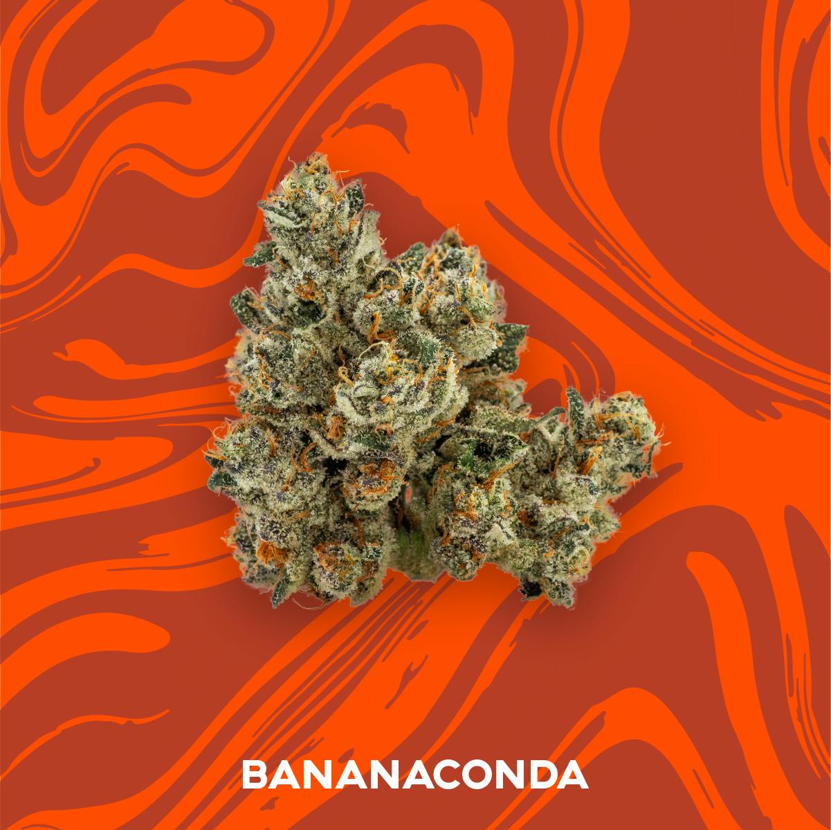 BANANACONDA | DELI STYLE - POPCORN at Kind Goods Recreational Dispensary - Soulard