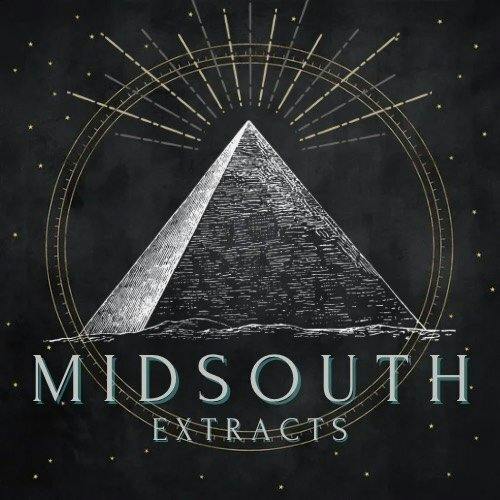MidSouth Extracts | 100mg | Key Lime Pie | Gummy Bar at DABBS Cannabis Dispensary
