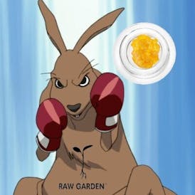 Raw Garden - Dosi Punch (Indica) - Live Resin (1g)