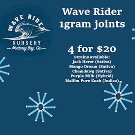 4 for $20 Wave Rider 1g Prerolls