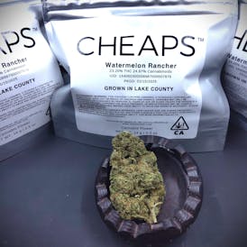 CHEAPS - Watermelon Rancher (Sativa) - Flower 14g