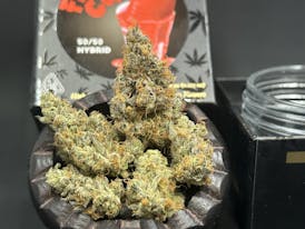 *W/ FREE GRAM* Team Elite Genetics - Freeze Cup (Hybrid) - Indoor Flower 3.5g **INCREDIBLE!**