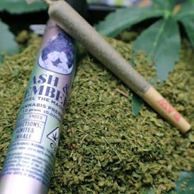 Ash & Ember - Juicy Fruit (Sativa) - Pre-roll 1g