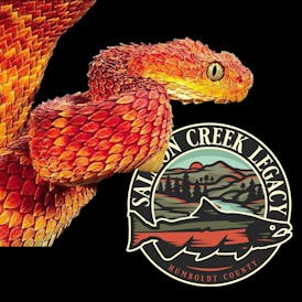 Salmon Creek Legacy - Dragon Viper (Hybrid) - Live Resin Sugar (1g)