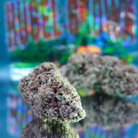 Hugel Grown - Mo Peaches (Hybrid) - Hugelkultur Flower 3.5g