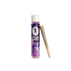 Pistil Jane 1g Infused Purple Reign Preroll