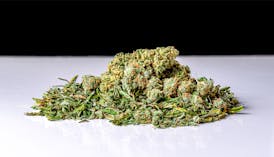 DR PEPPER OG INFUSED SHAKE - $25 SHELF
