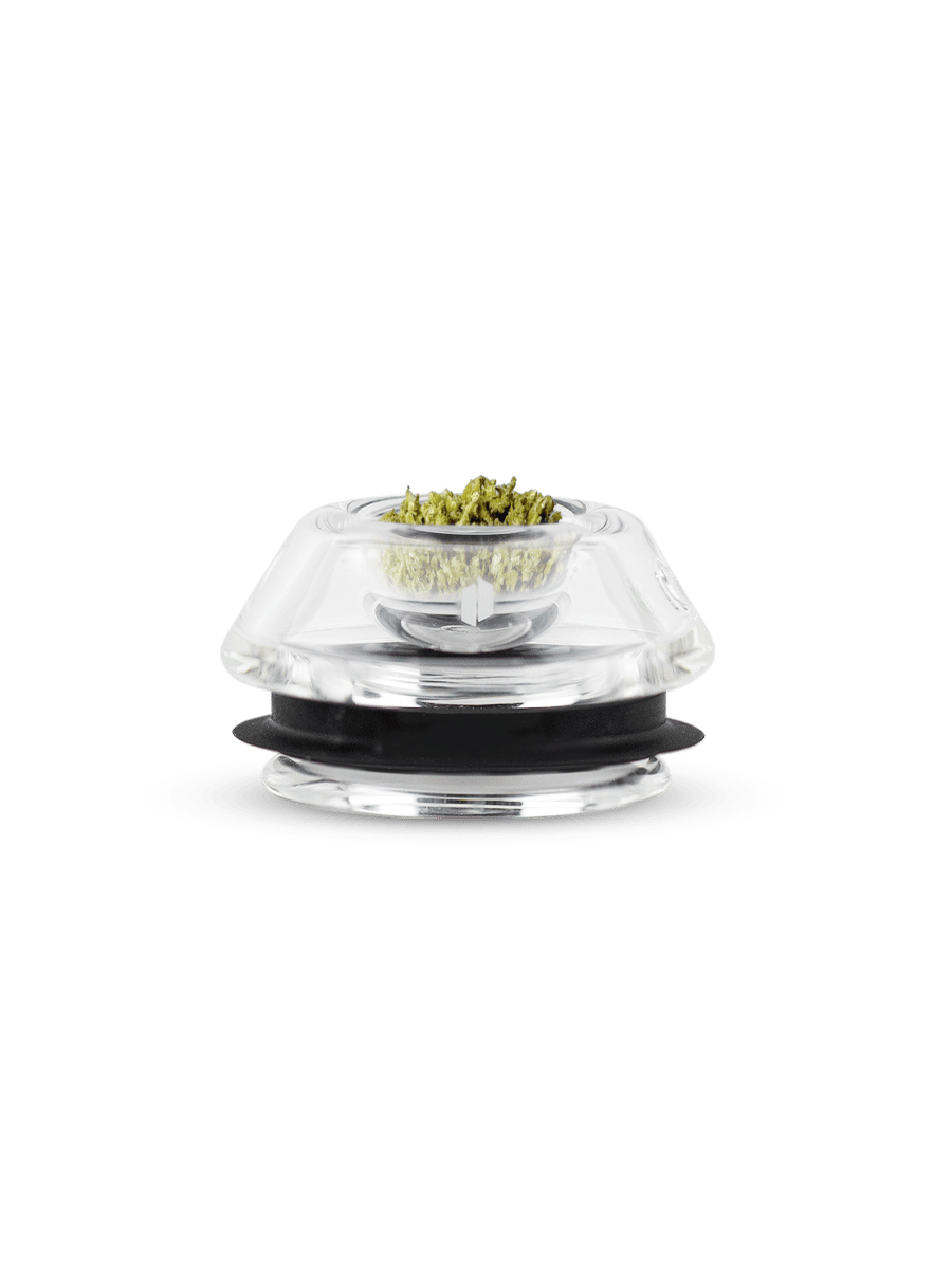 PROXY FLOWER BOWL