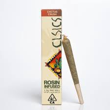 CLSICS — Cactus Crush