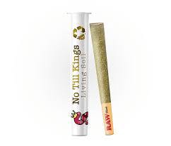 No Till Kings | GMO | Indica | Pre-roll | 1g