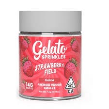 Gelato: Strawberry Fields