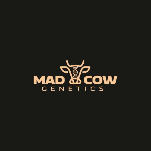 Mad Cow | 3.5g Mylar Bag | Kimochi
