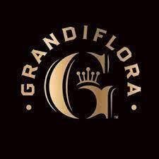 Grandiflora | 1g Single Joint | Blu Crumbl