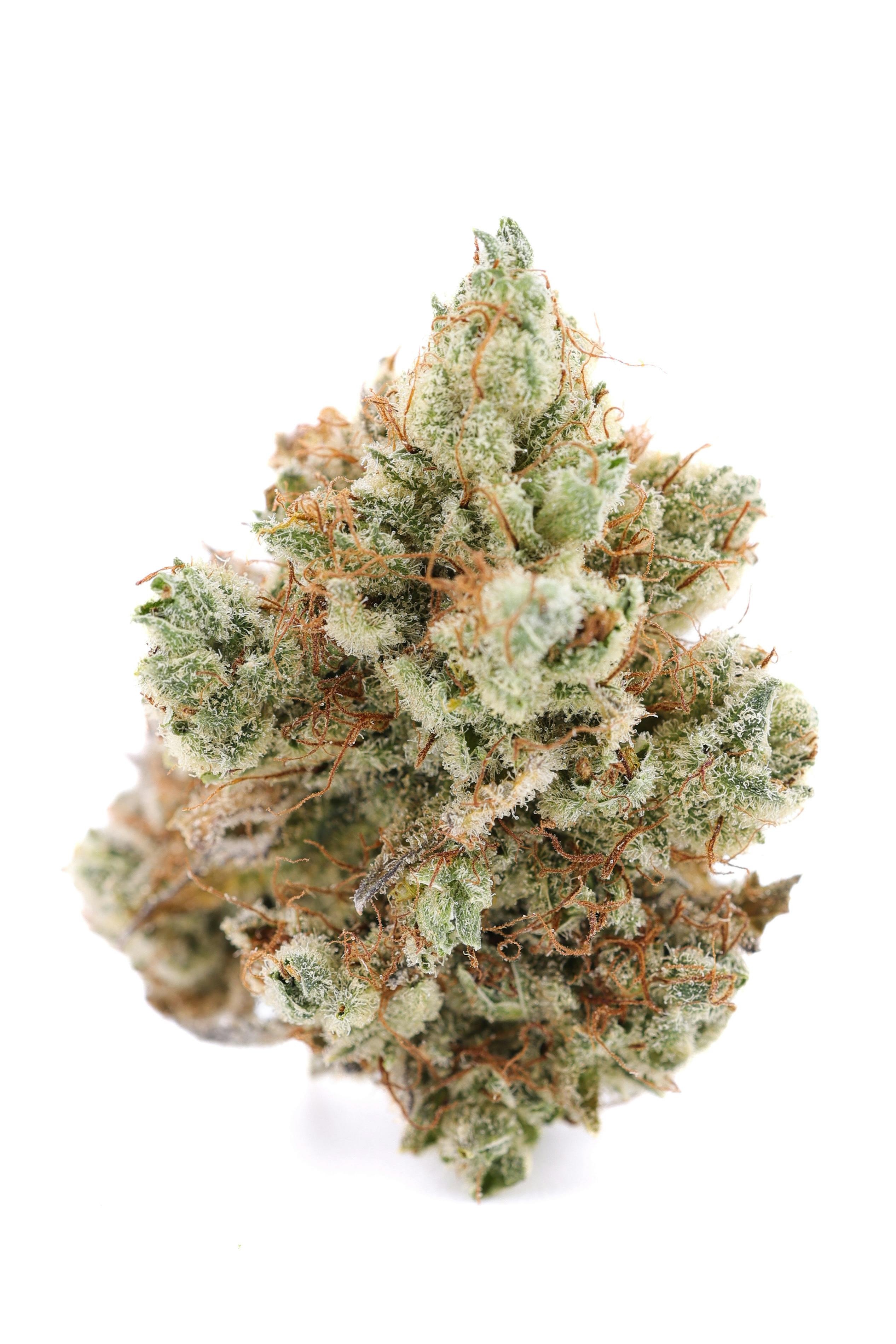 Valhalla - 3.5g Flower- Primal Punch (H)