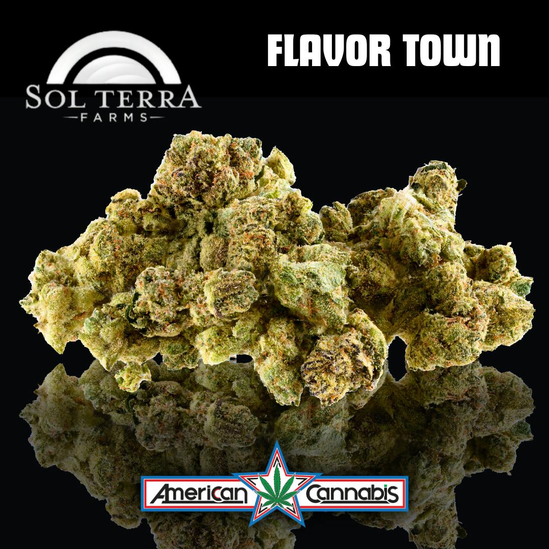[Flower] Sol Terra Flavor Town 14g [Hybrid]