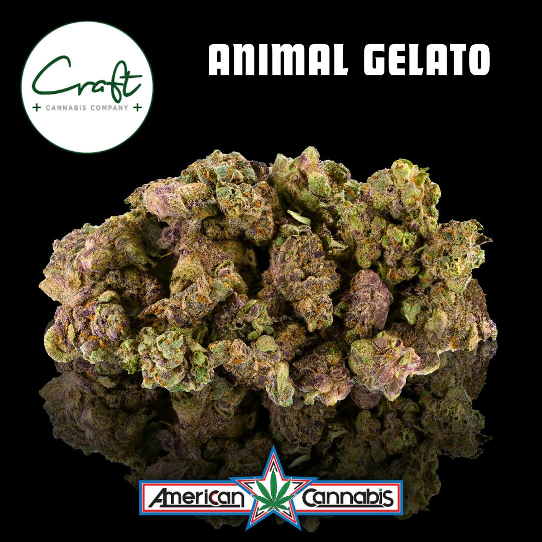 [Flower] Craft Cannabis Animal Gelato 3.5g [Hybrid]
