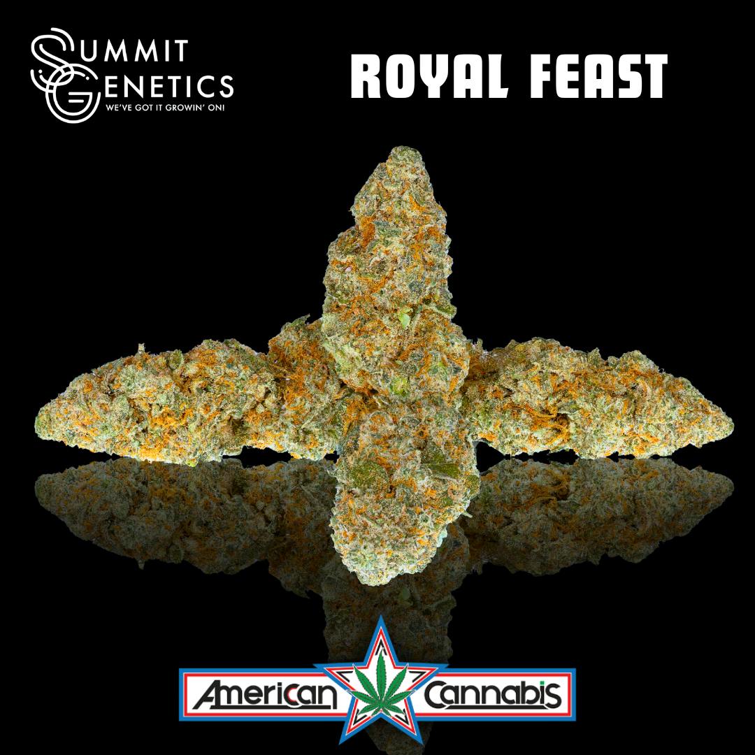 [Flower] Summit Genetics Royal Feast 14g [Indica]