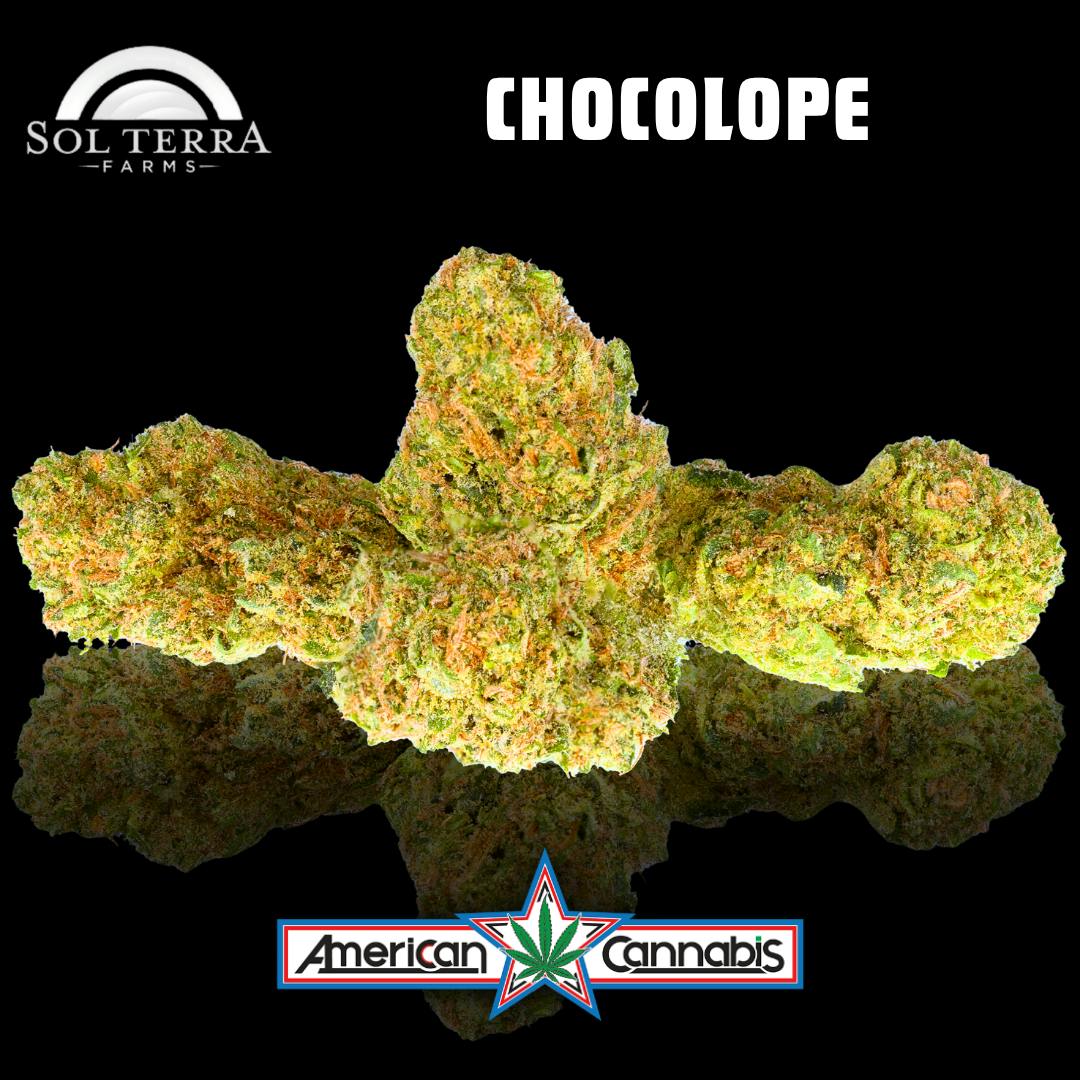 Terra Chocolope