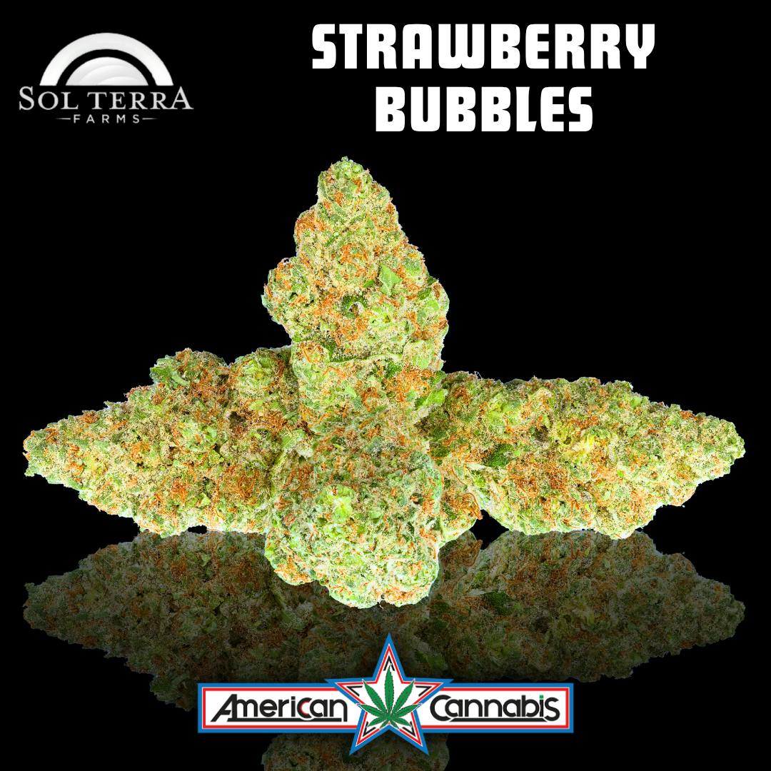 [Flower] Sol Terra Strawberry Bubbles 3.5g [Indica]