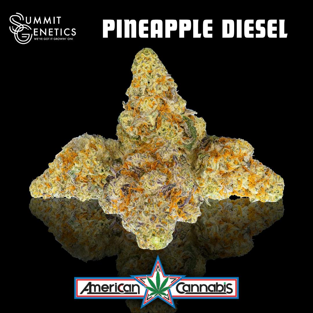 [Flower] Summit Genetics Pineapple Diesel 14g [Hybrid]