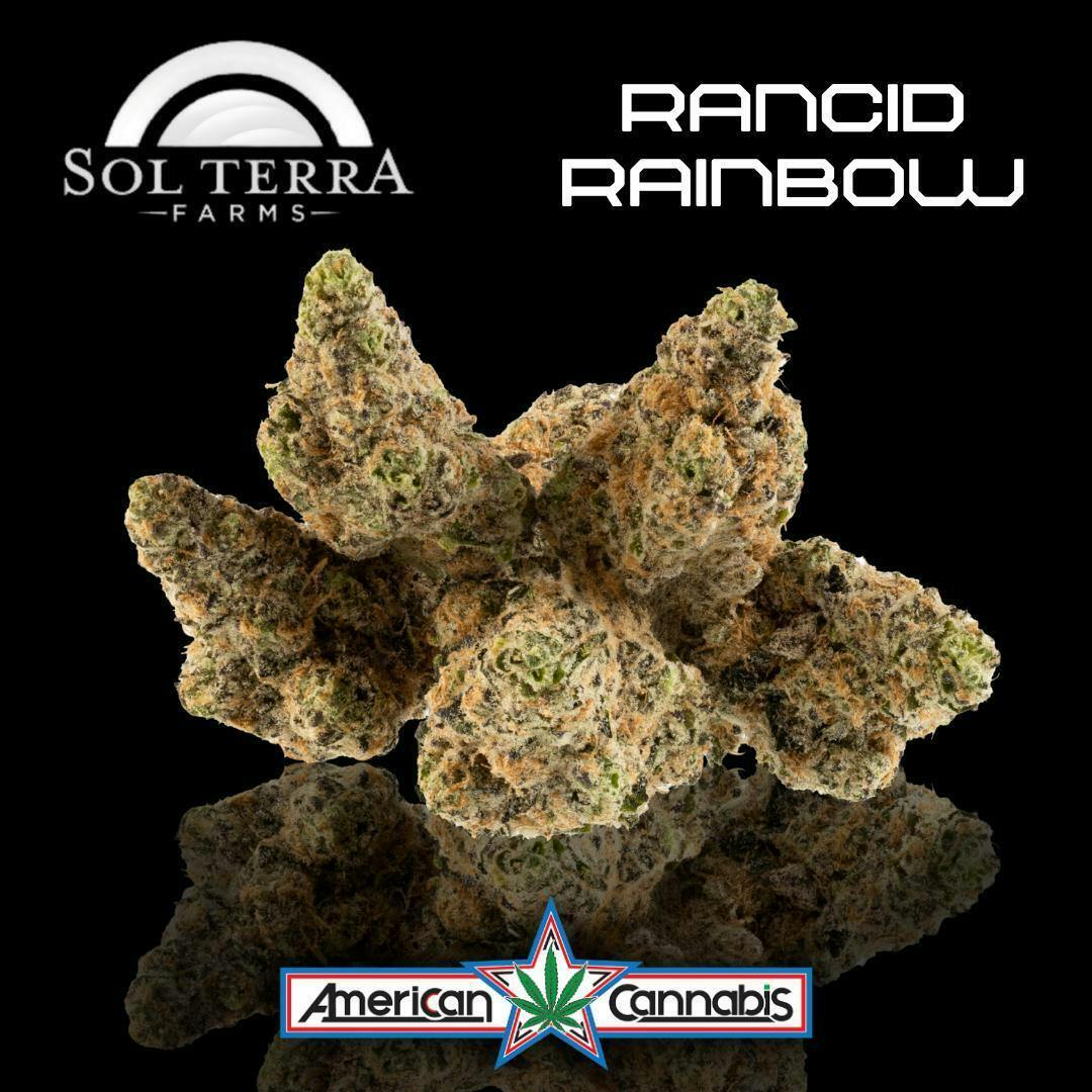 [Flower] Sol Terra Rancid Rainbow 14g [Hybrid] GRAM