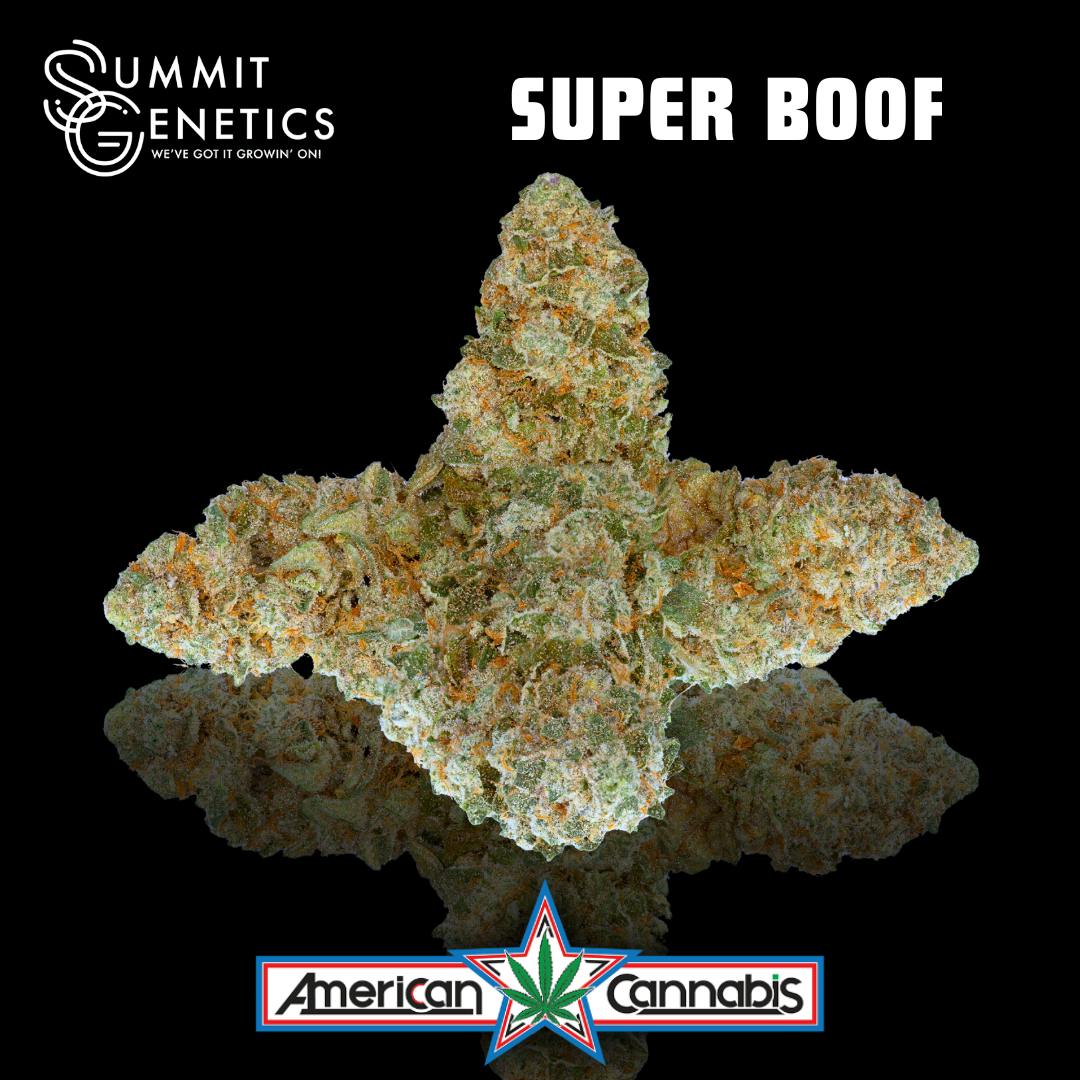 Super Boof