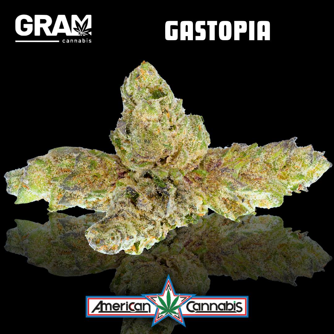 [Flower] GRAM Gastopia 4g [Indica]