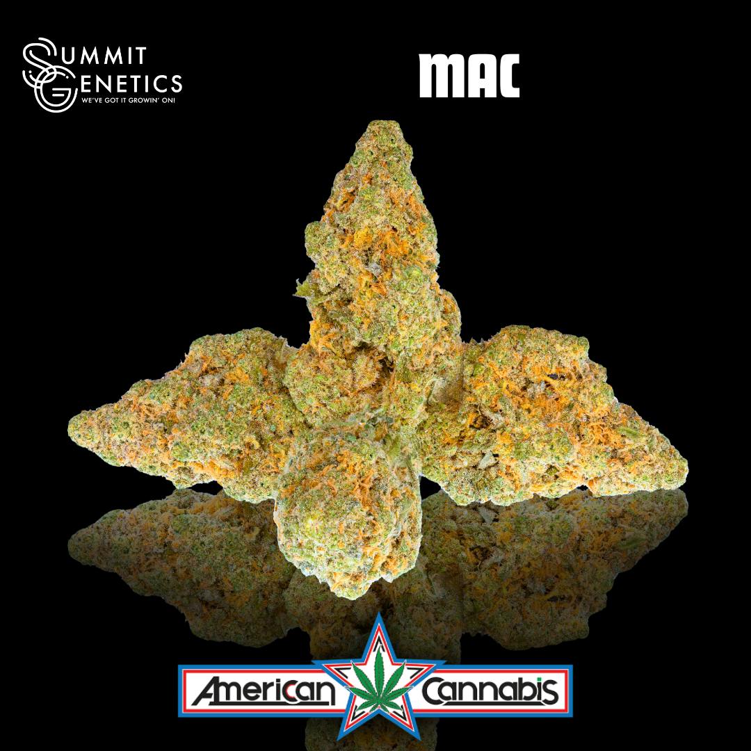 [Flower] Summit Genetics MAC 3.5g [Hybrid]