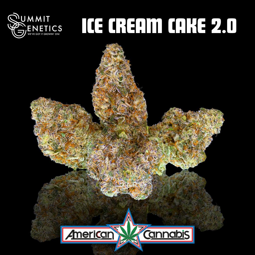 [Flower] Summit Genetics Ice Cream Cake 2.0 14g [Indica]